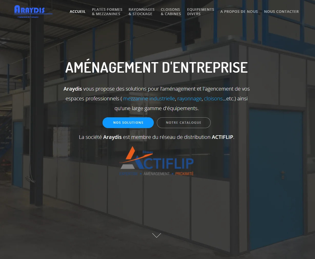 Capture du site internet Araydis réalisé par Codiceo